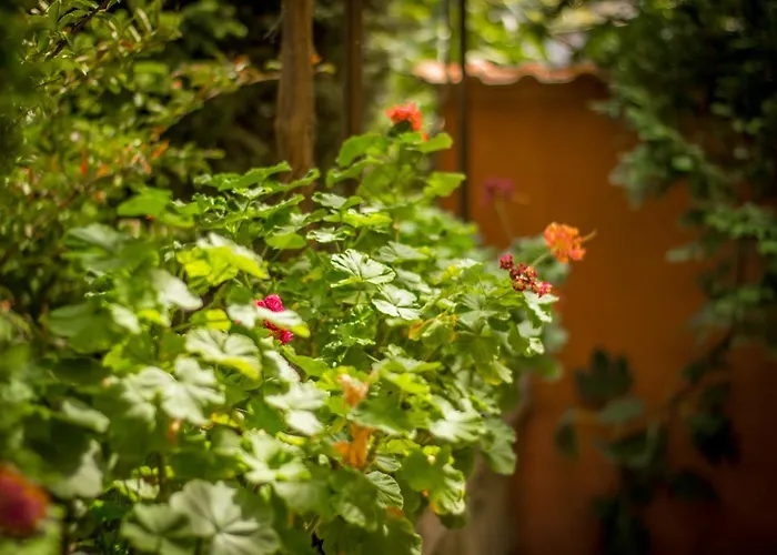 Family Hotel Saint Iliya