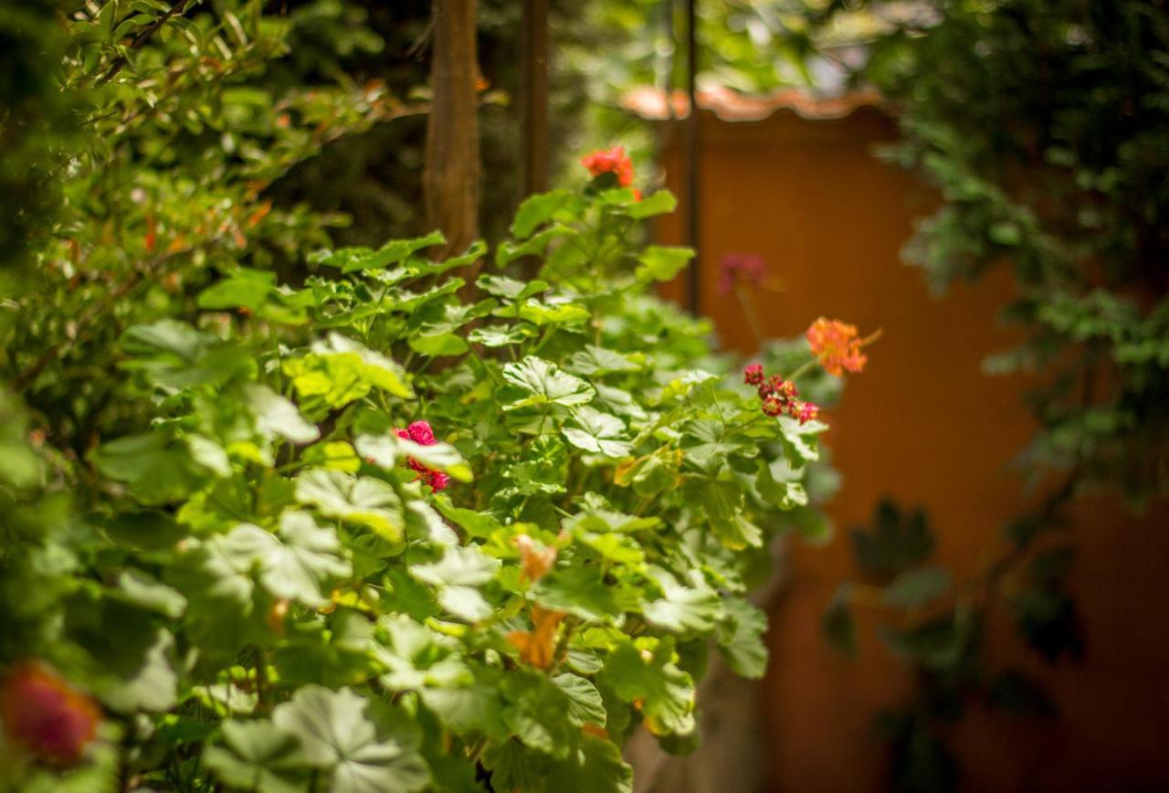 Hotel Family Saint Iliya